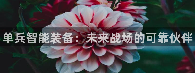 新宝gg最新章节