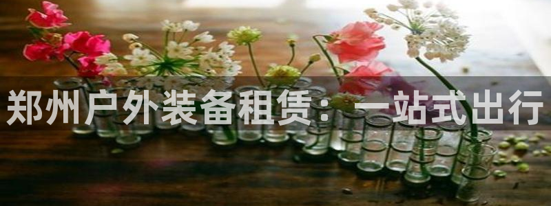 新宝gg登陆