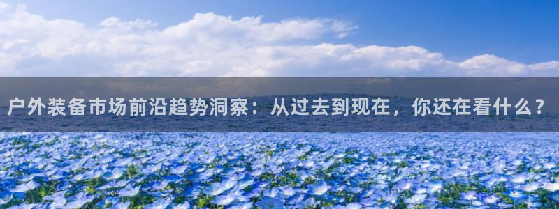新宝gg 黑