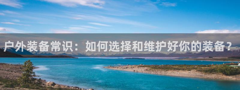 新宝gg怎么样