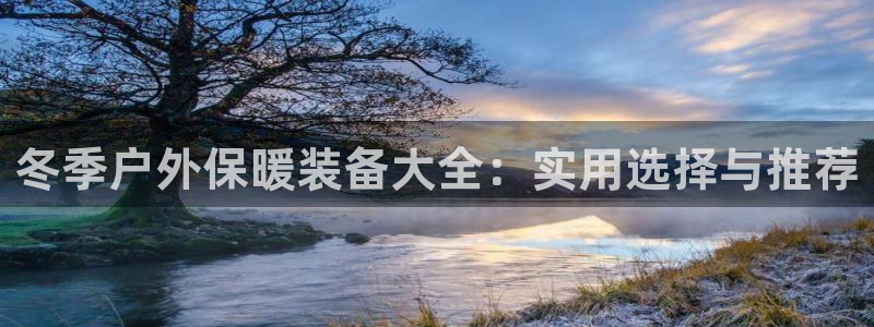 新宝gg手机官网登录