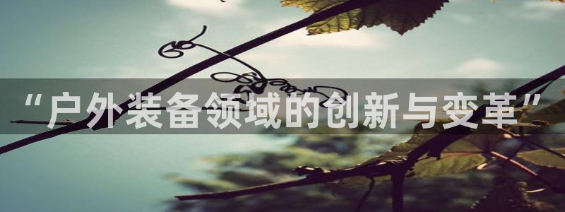 新宝gg返点1956是多少