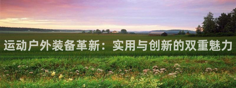 新宝gg黑平台