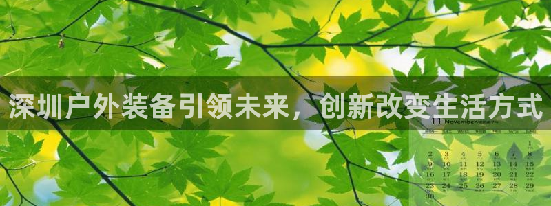 新宝gg怎么做代理
