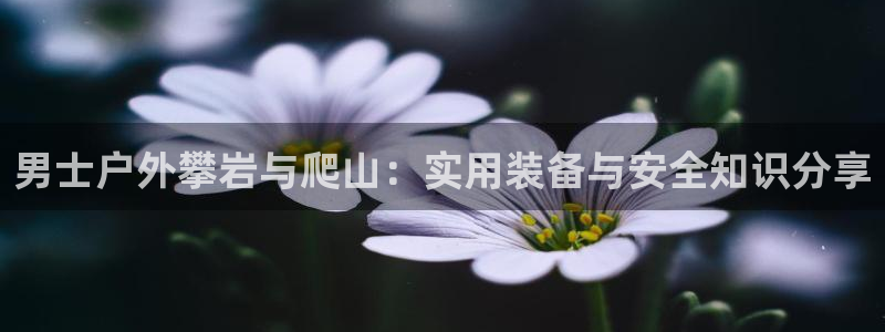 新宝gg主管 9