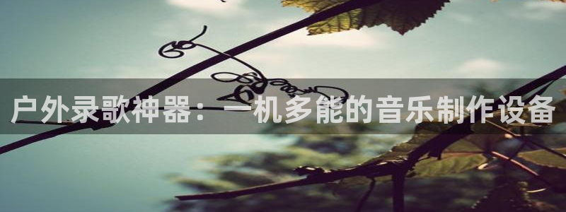 新宝gg有规律么