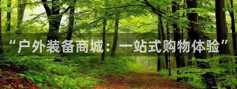 创造奇迹新宝gg