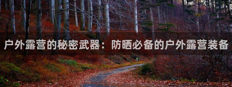 新宝gg__
