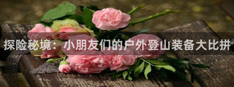 新宝gg平台反水