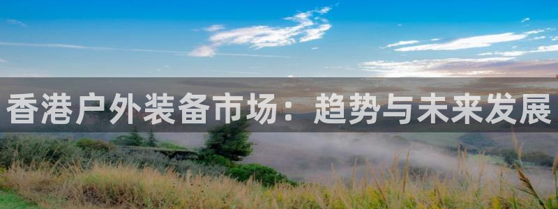 新宝GG用哪个网址登录