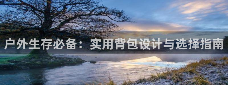 新宝gg代理注册