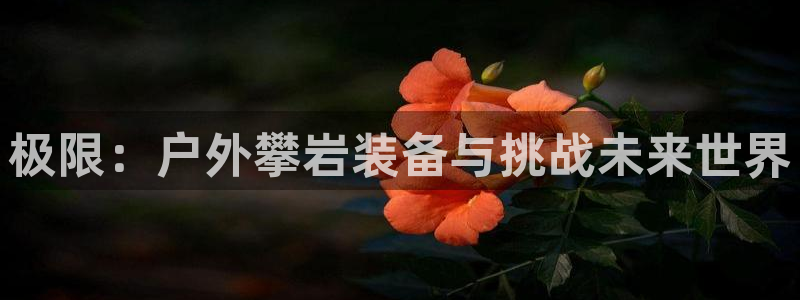 新宝gg2创造奇迹登录