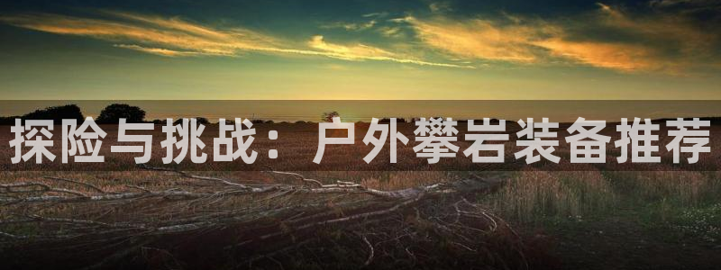 新宝gg注册q 26880