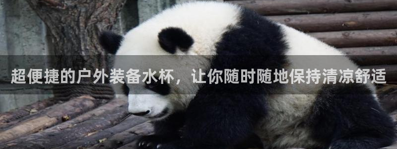 新宝gg客户端下载