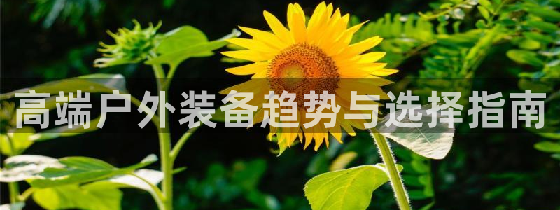 新宝gg奖金