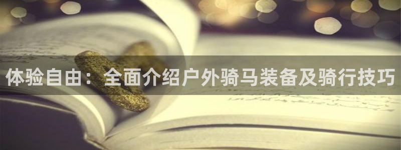 新宝GG用哪个网址登录