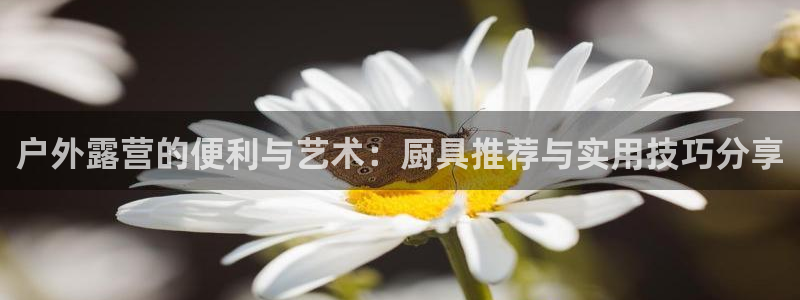 新宝 gg