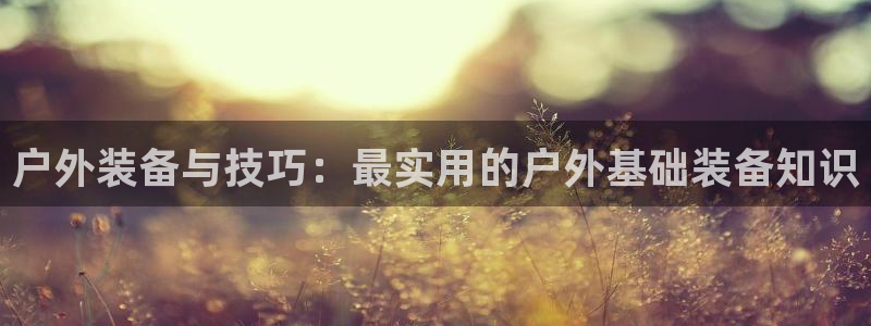 新宝gg手机官网登录