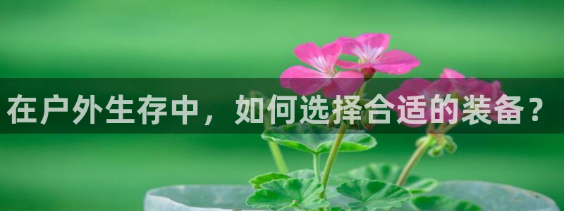 新宝gg是在境外吗