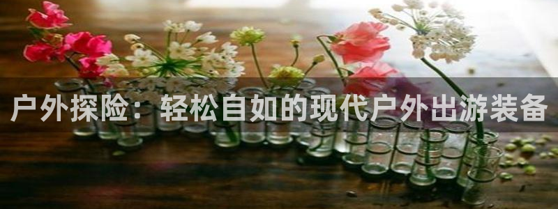 新宝gg dengludizhi