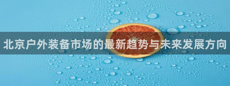 新宝哥gg