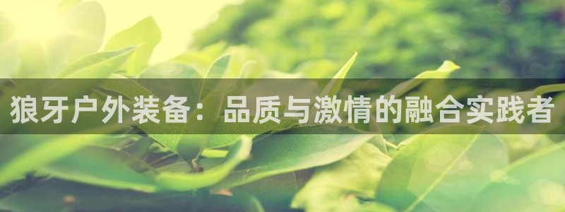 新宝gg总管