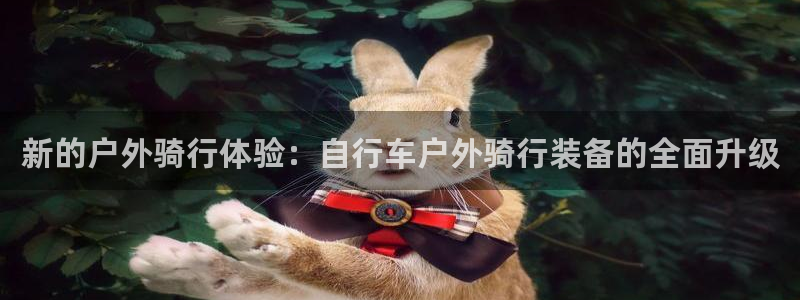 新宝一gg测速