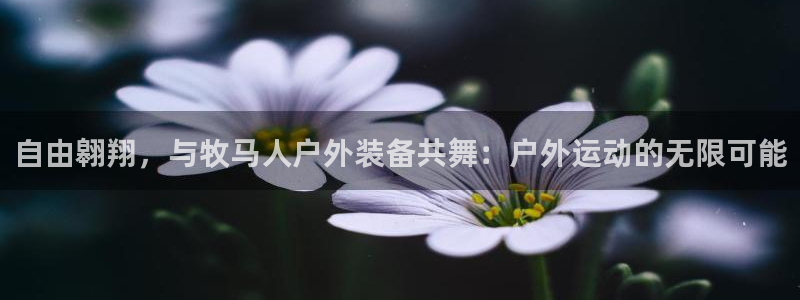 新宝gg一创造奇迹