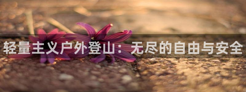 新宝gg注册cqdellar