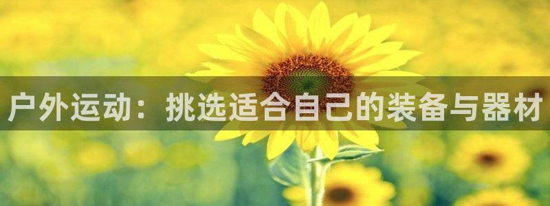 新宝gg平台q891465