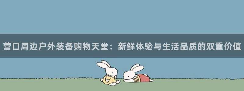 新宝GG管理