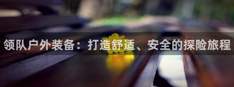 新宝gg网