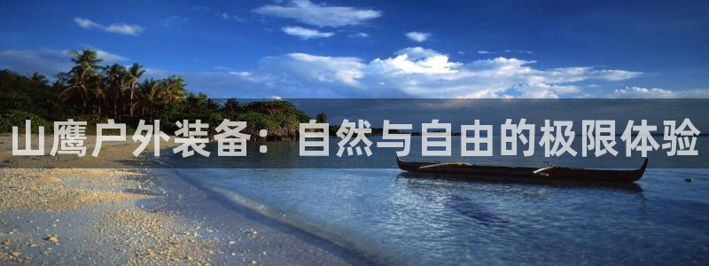 认准新宝gg