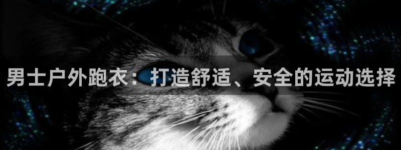 新宝gg博客