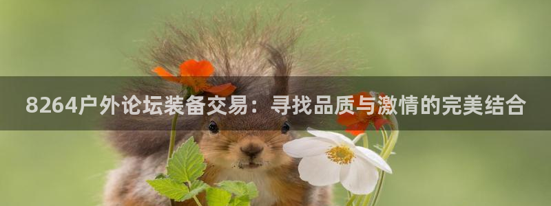 新宝gg手机助手
