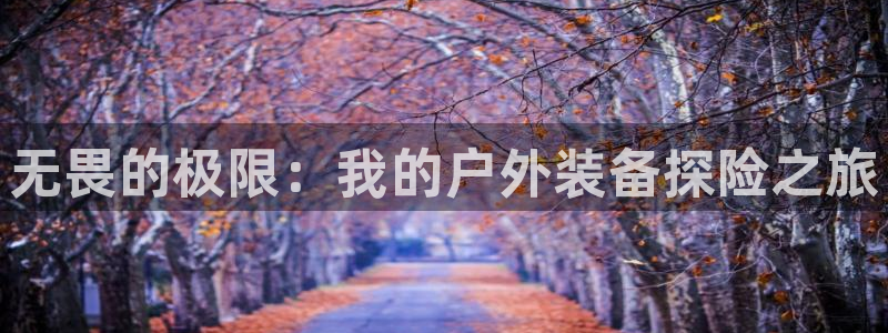 新宝gg招商-299136