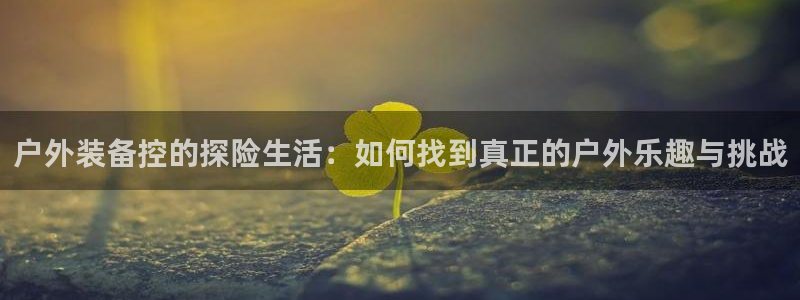 新宝gg龙虎