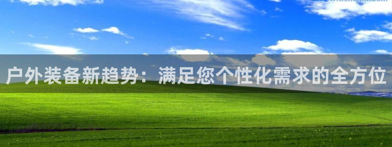 新宝gg作弊