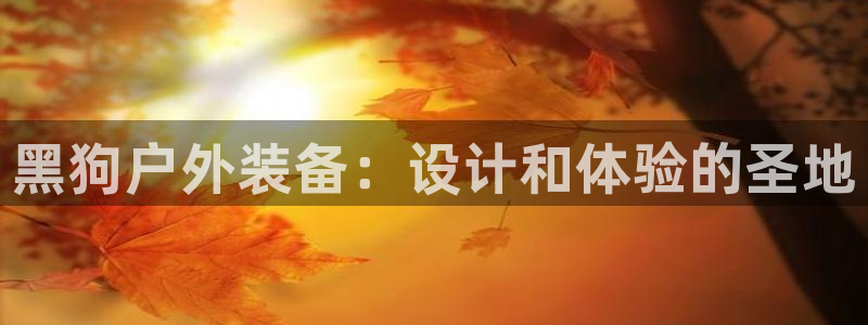 新宝gg登录页面