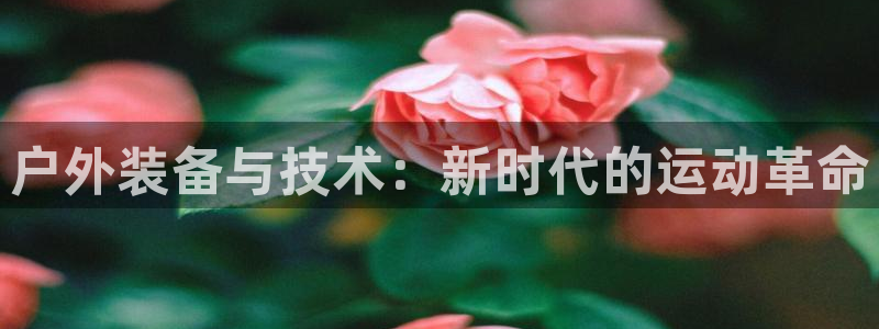 新宝gg如何赚钱