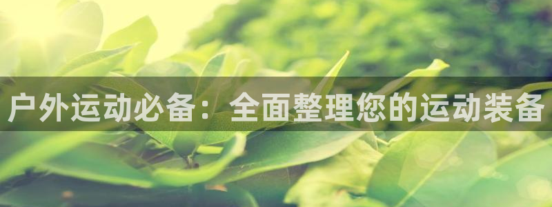 新宝六与新宝gg