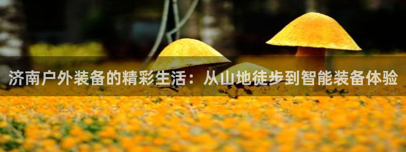 菲律宾新宝gg娱乐