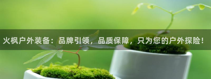 新宝gg在哪开户