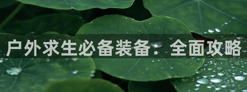 新宝gg申请账号