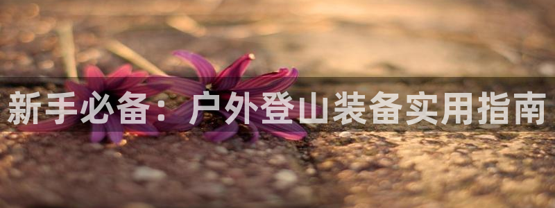 怎么下载新宝gg