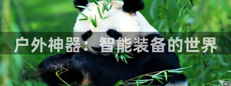 新宝gg登录页面