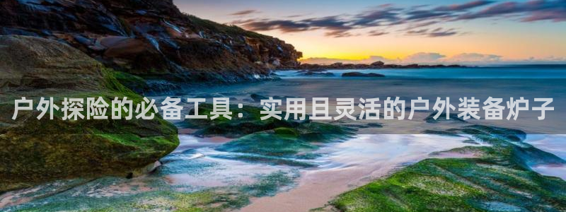 新宝GG最高返点多少