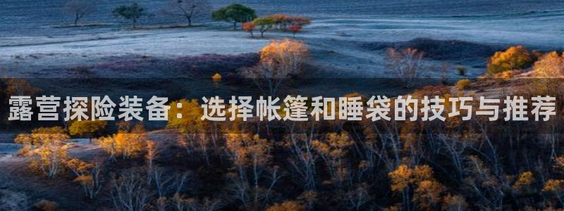 新宝gg注册首页