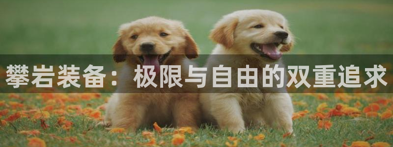 新宝gg一创造奇迹