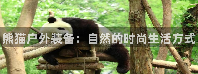 新宝gg平台开发